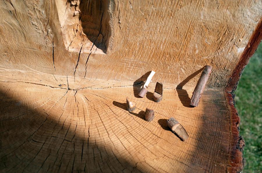 Mary Bauermeister (b.1934), Rübezahl, 2020, showing installation in progress, KölnSkulptur #10, Skulpturenpark Köln, Cologne, Germany, July 2020–Summer 2022; Photographer Simon Stockhausen