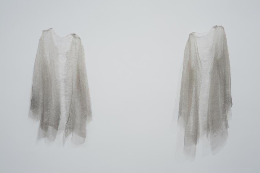 Doris Salcedo. Disremembered VII & Disremembered VIII. Silk thread and nickel plated steel, 35 x 21 1/2 x 6 1/4 in; 33 7/8 x 18 1/2 x 5 1/8 in. Private collection.
Harvard Art Museums, Boston Photograph by Harvard Art Museums