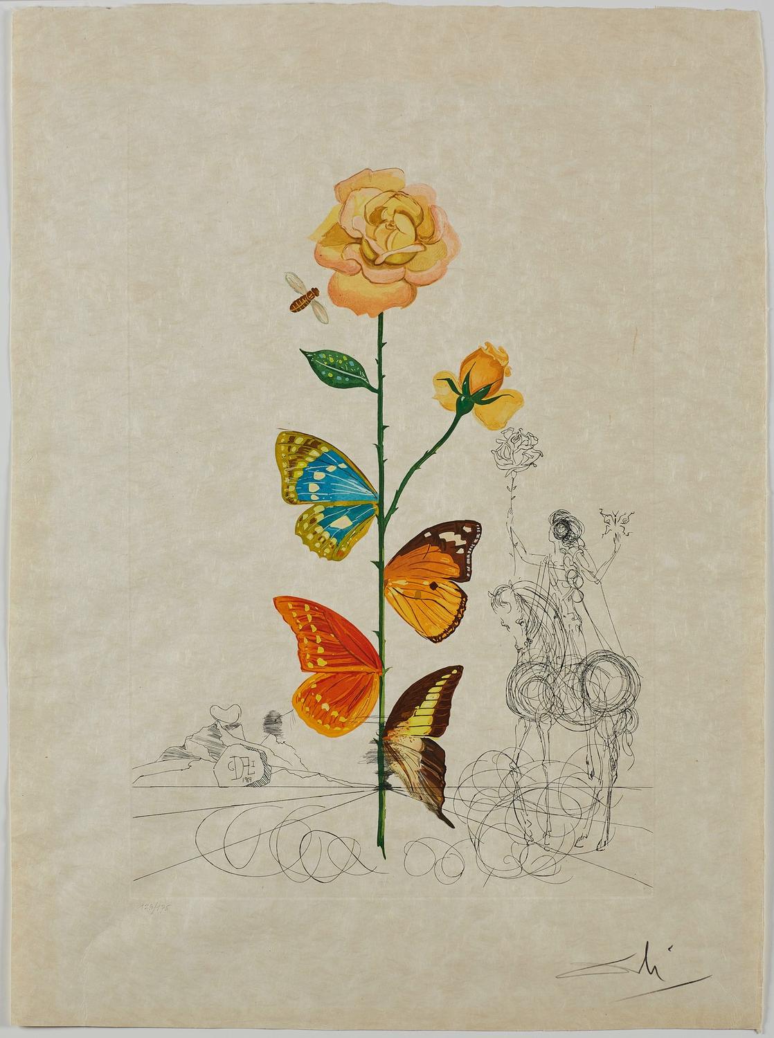 Salvador Dalí: Gardens of the Mind' Explores the Surrealist Work Through a Botanical... - Artwire Press from