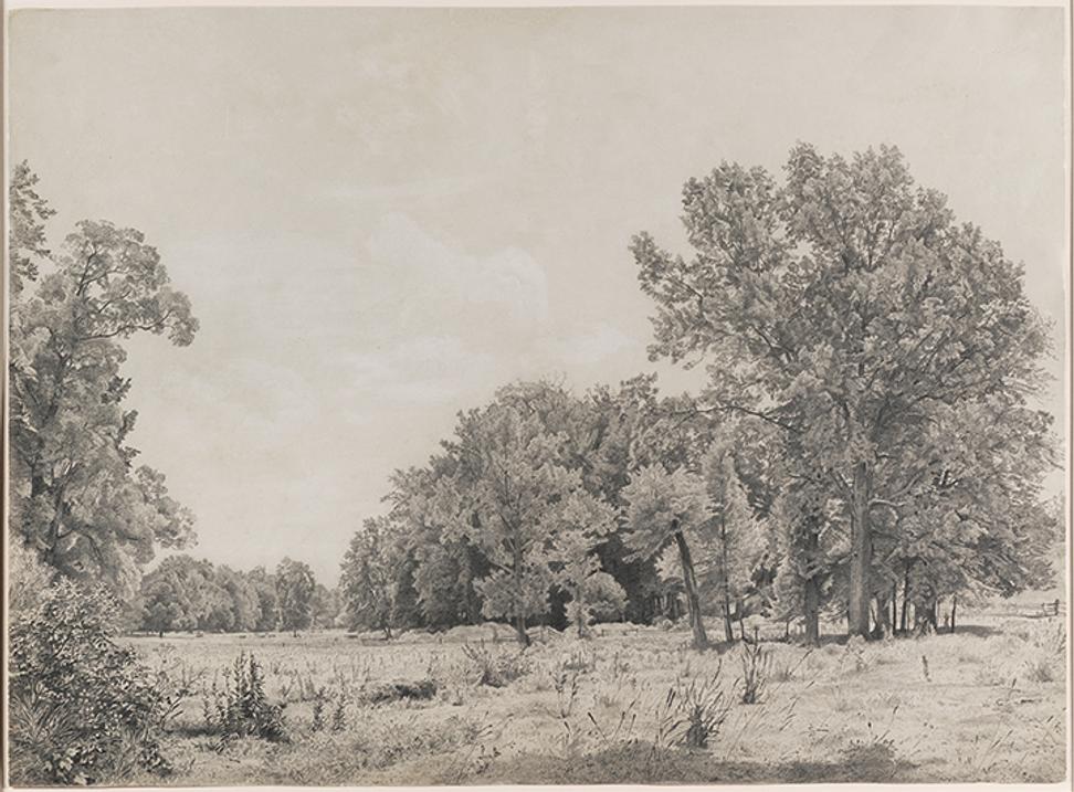 William Trost Richards (1833–1905), Landscape, c.  1865, graphite and gouache on paper, 17 1/2 x 23 1/2 inches.  Palmer Museum of Art, John Driscoll American Drawings Collection